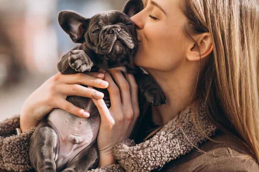 French Bulldog Colors