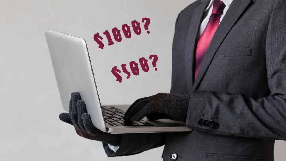 4 Signs of a French Bulldog Scam and 4 Ways You Can Avoid Them | Ethical Frenchie