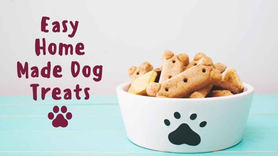 Page 3 of 3 for The Frenchie Blog Ethical Frenchie