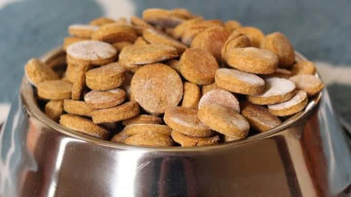 Peanut Butter Pumpkin Treats