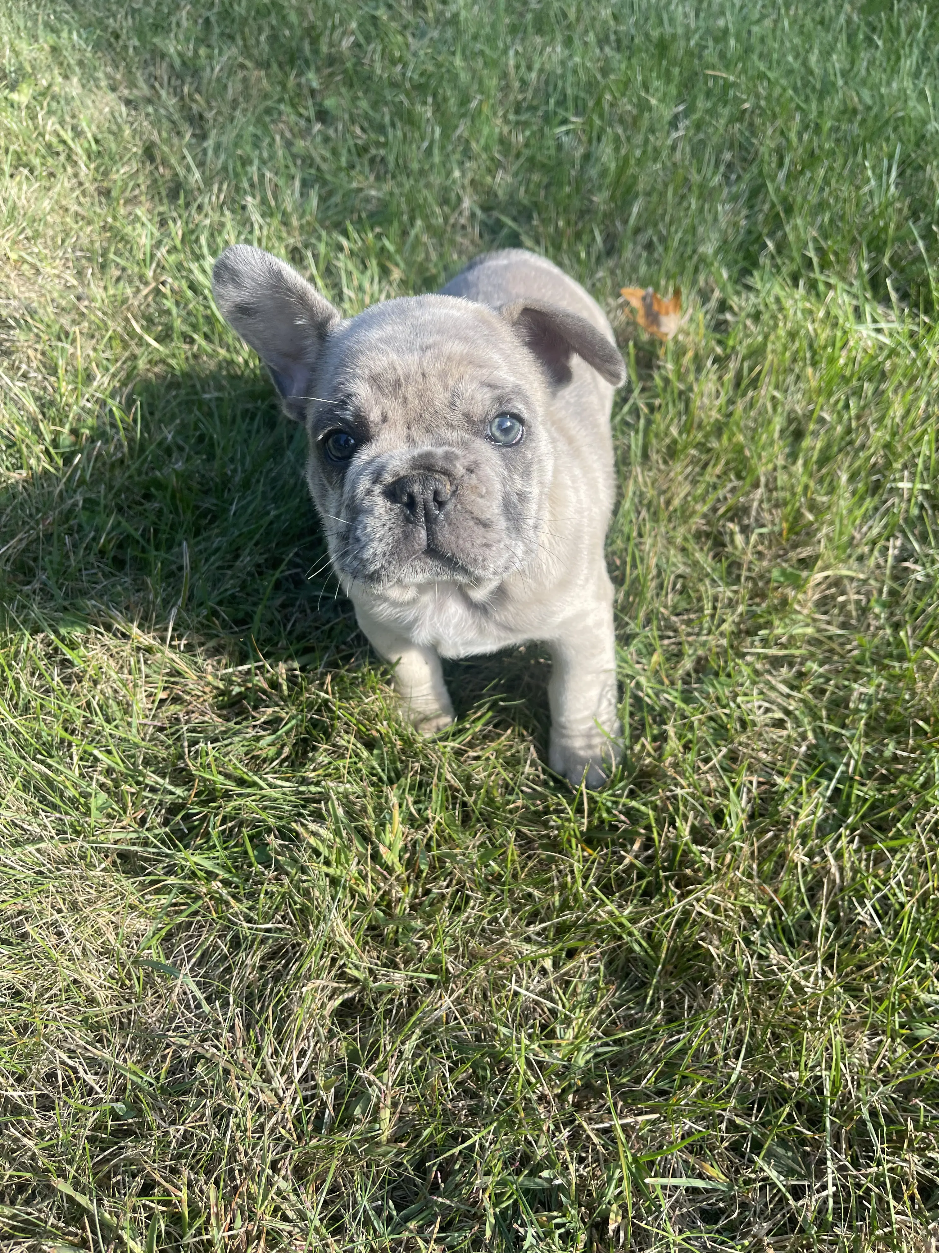 Winnie