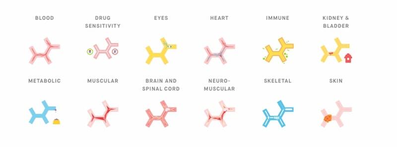 Genetic Testing