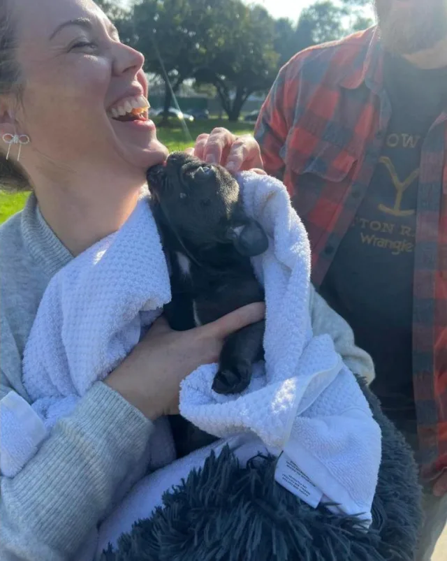 Laughing woman holding a black Frenchie puppy wrapped in a white towel