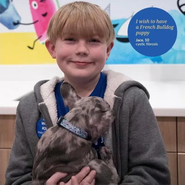 Smiling boy in a grey hoodie holding a merle Frenchie puppy beside a blue wish badge