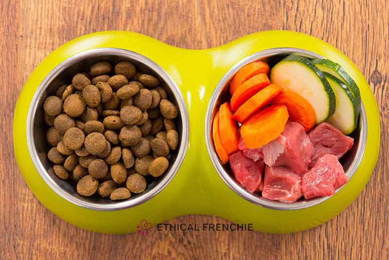 barf diet for french bulldogs