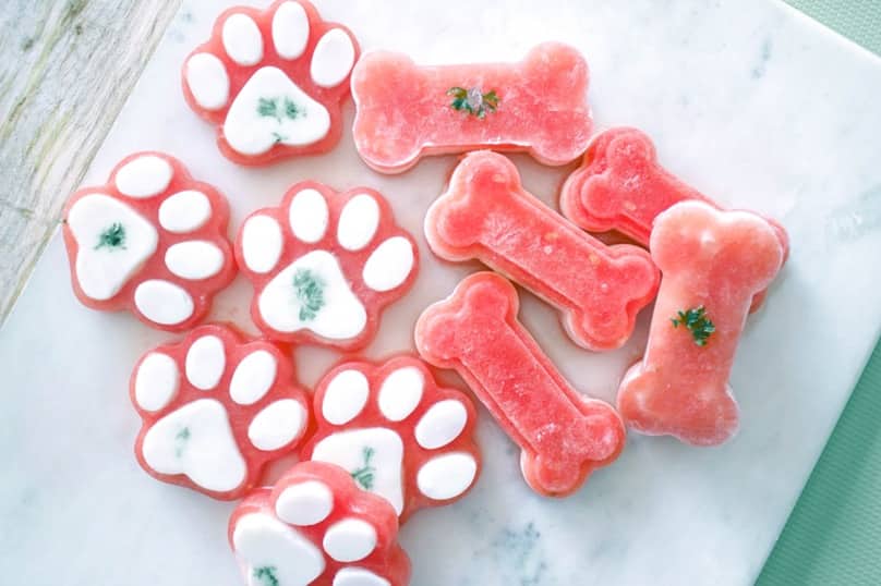 Image of watermelon dog treats